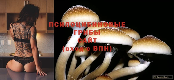 метадон Дмитров