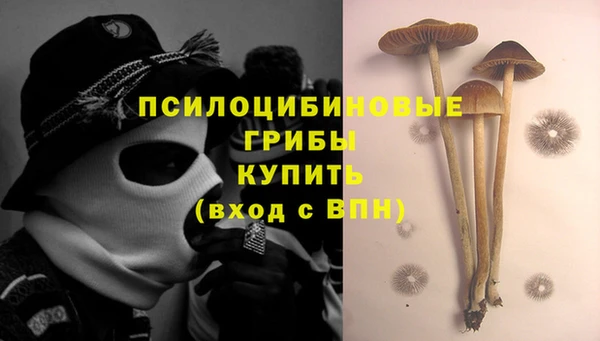 бутират Дмитровск